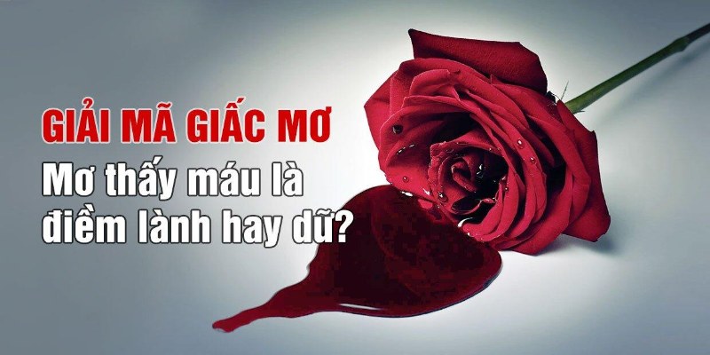 Chiêm bao thấy máu thường mang đến trạng thái lo lắng và sợ hãi
