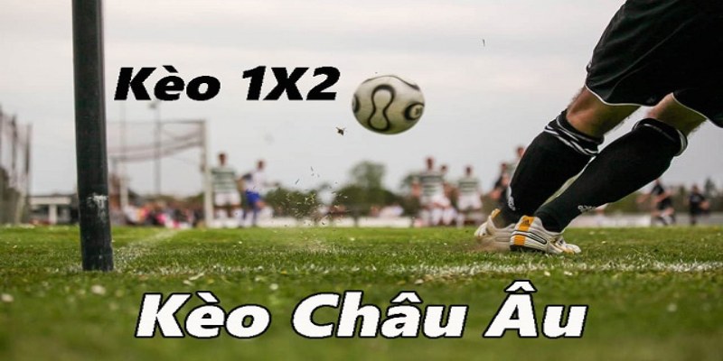 Giới thiệu về loại kèo châu Âu
