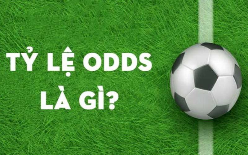 Odds là gì?